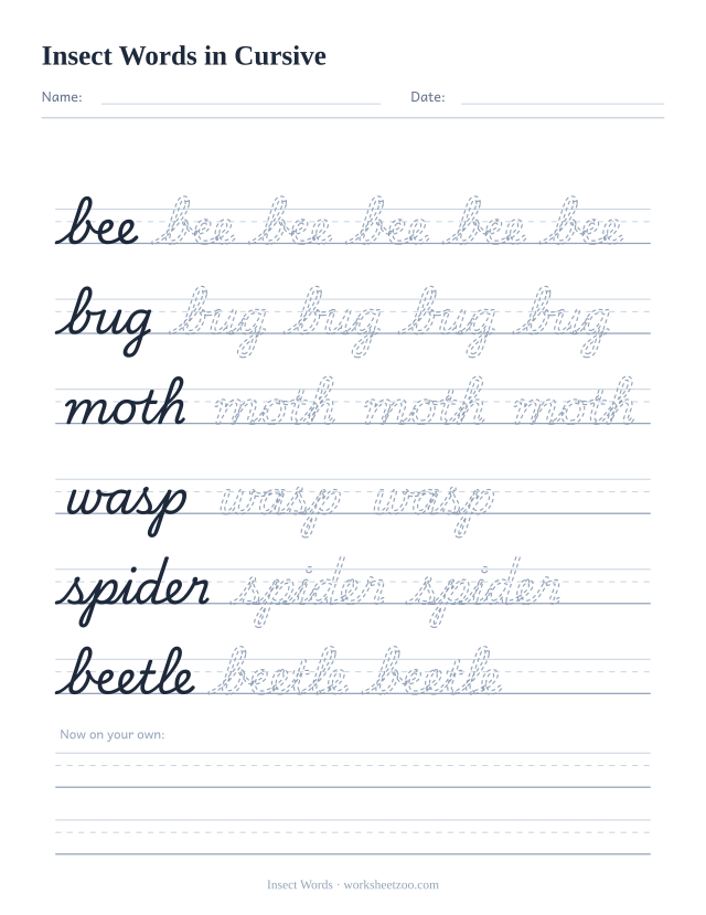 Cursive insect words worksheet, trace bee, bug, moth, wasp, spider and beetle