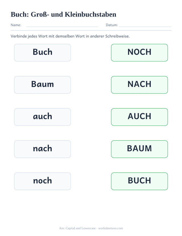 Vorschau: häufiges Wort „Buch“, Groß- und Kleinbuchstaben