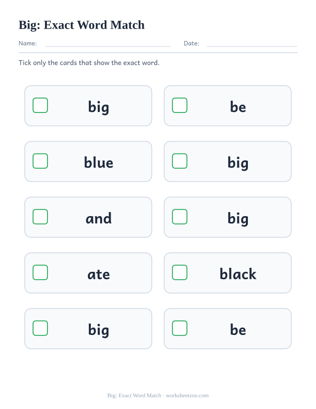 Sight word “big” worksheet, exact word match printable activity
