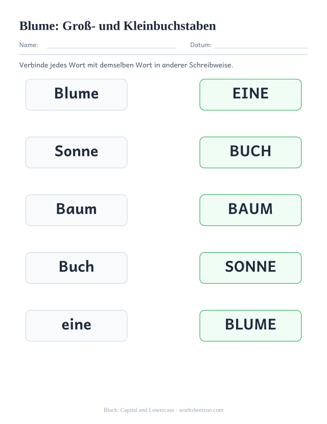 Vorschau: häufiges Wort „Blume“, Groß- und Kleinbuchstaben